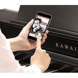 Kawai CN39B