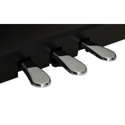 Kawai CN39B