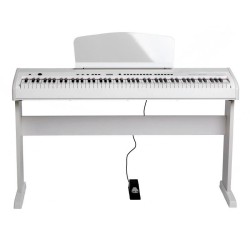 ORLA Stage Studio White