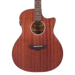 D'Angelico Premier Gramercy LS