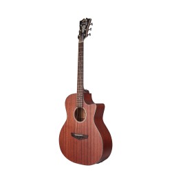 D'Angelico Premier Gramercy LS