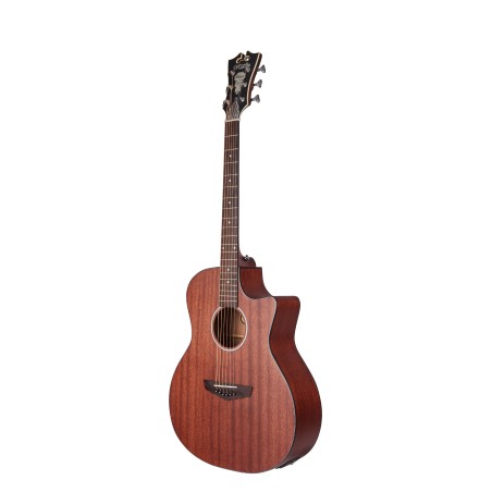 D'Angelico Premier Gramercy LS