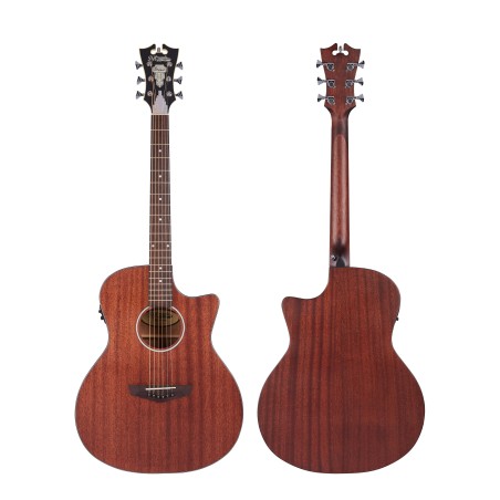 D'Angelico Premier Gramercy LS