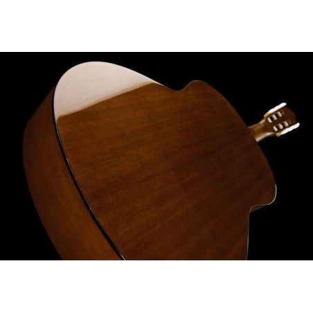 YAMAHA C80