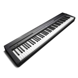 YAMAHA P-45