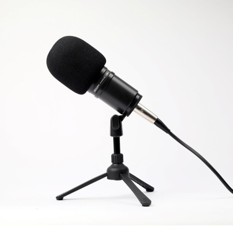 ZOOM TPS-4