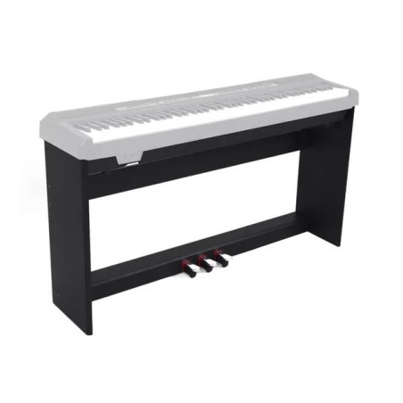 E-CHORD WS10