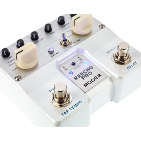 Mooer Reecho Pro