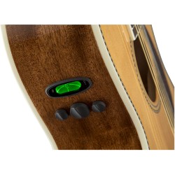 Fender PM-2 Standard Parlor Natural