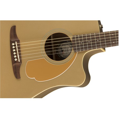 Fender Redondo Player Bronze Satin