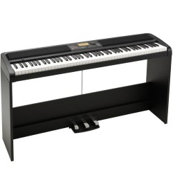 KORG XE20SP