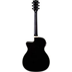 Eko NXT A100CE See Through Black