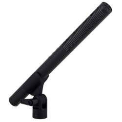 RODE NTG4+