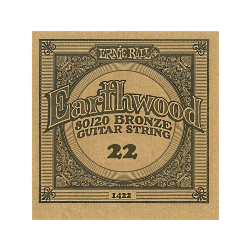 Ernie Ball 1422 22 Earthwood