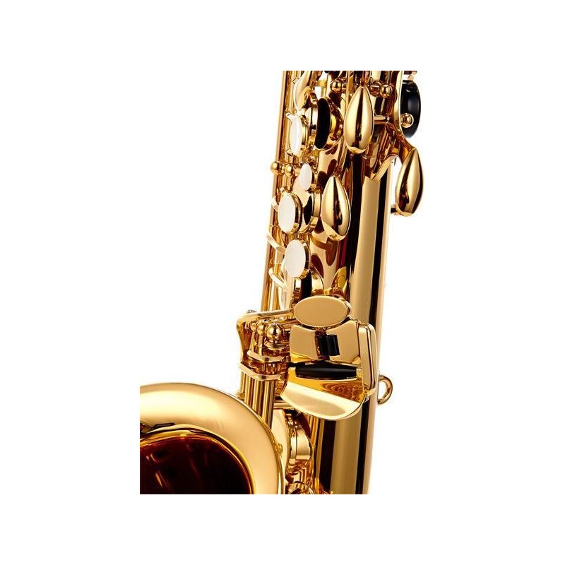 Sassofono Contralto YAS-480 Eb &ndash; Con Custodia E Boccagli (Spedizione Gratuita)