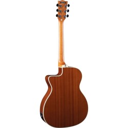 Eko NXT A100ce Natural