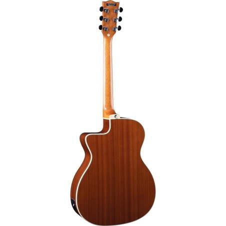 Eko NXT A100ce Natural