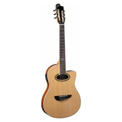 Eko NXT N100ce Natural