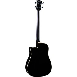Eko NXT B100ce See Through Black