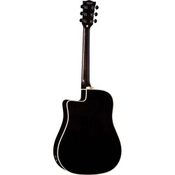 Eko NXT D100ce See Through Black