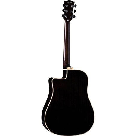 Eko NXT D100ce See Through Black