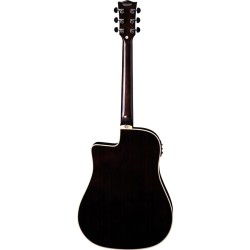 Eko NXT D100ce See Through Black