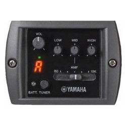 YAMAHA APX700II-12 Natural