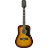 Eko Ranger XII VR EQ Honey Burst