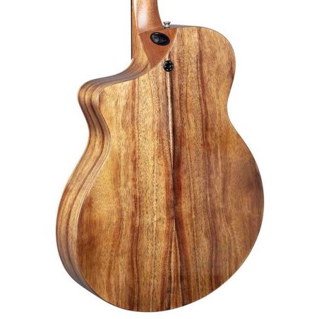 Martin SC-13E