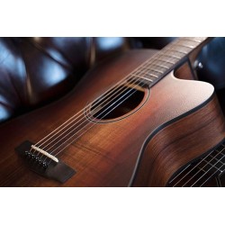 Cort Core-OC Blackwood Open Pore Light Burst