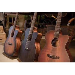 Cort Core-OC Spruce Open Pore Trans Black