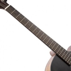 Cort Core-OC Spruce Open Pore Trans Black