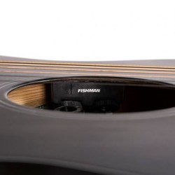 Cort Core-OC Spruce Open Pore Trans Black
