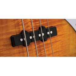 Cort GB24JJ 2 Tone Burst