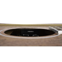 Cort AF590MF Open Pore