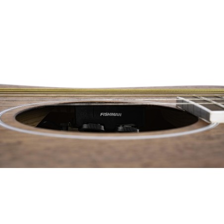 Cort AF590MF Open Pore
