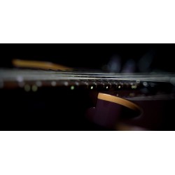 Cort G300 Pro Black