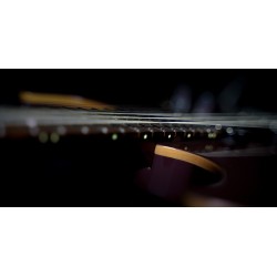 Cort G300 Pro Vivid Burgundy