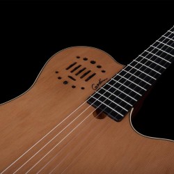 Godin Multiac Grand Concert Duet Ambiance Natural HG