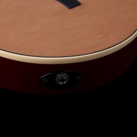 Godin Multiac Grand Concert Duet Ambiance Natural HG