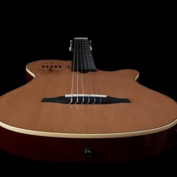 Godin Multiac Grand Concert Duet Ambiance Natural HG