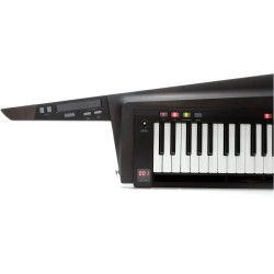 KORG RK-100S 2 Black