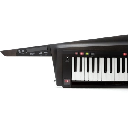 KORG RK-100S 2 Black
