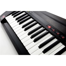 KORG RK-100S 2 Black