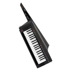 KORG RK-100S 2 Black