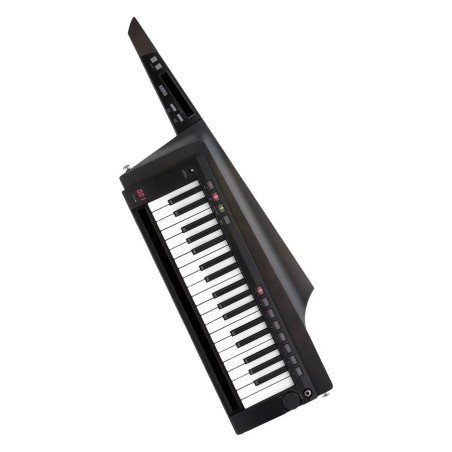 KORG RK-100S 2 Black