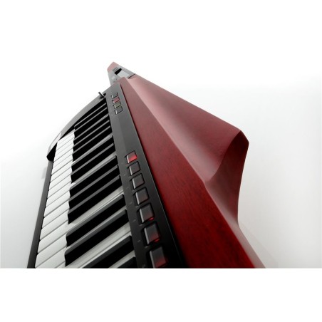 KORG RK-100S 2 Red