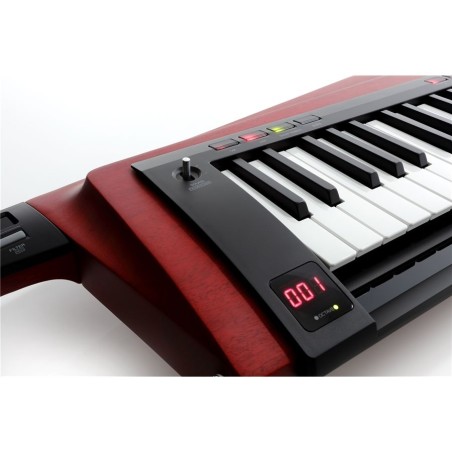 KORG RK-100S 2 Red