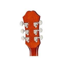 Epiphone Hummingbird Pro FCB