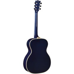 Eko NXT A100 See Through Blue